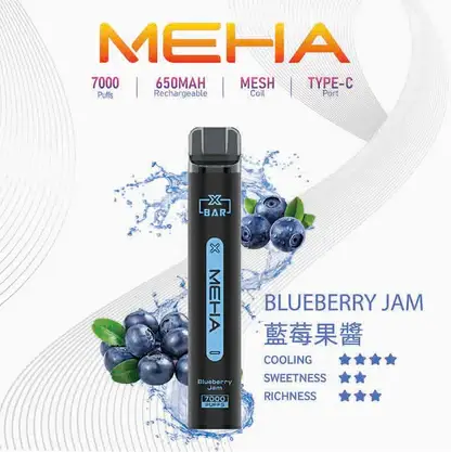 MEHA XBAR 拋棄式 7000口小黑條 (15) MEHA XBAR 魅嗨小黑條7000口拋棄式電子煙|3%尼古丁鹽 650mAh電池 Mesh霧化技術 台灣現貨
